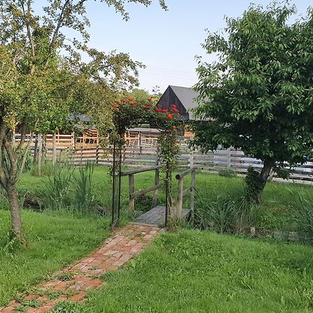 U Durkovych Guest House Zabokreky Nad Nitrou Ngoại thất bức ảnh